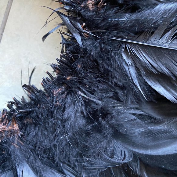 A Bunch of Feathers for Projects, NEW Black - Picture 5 of 6